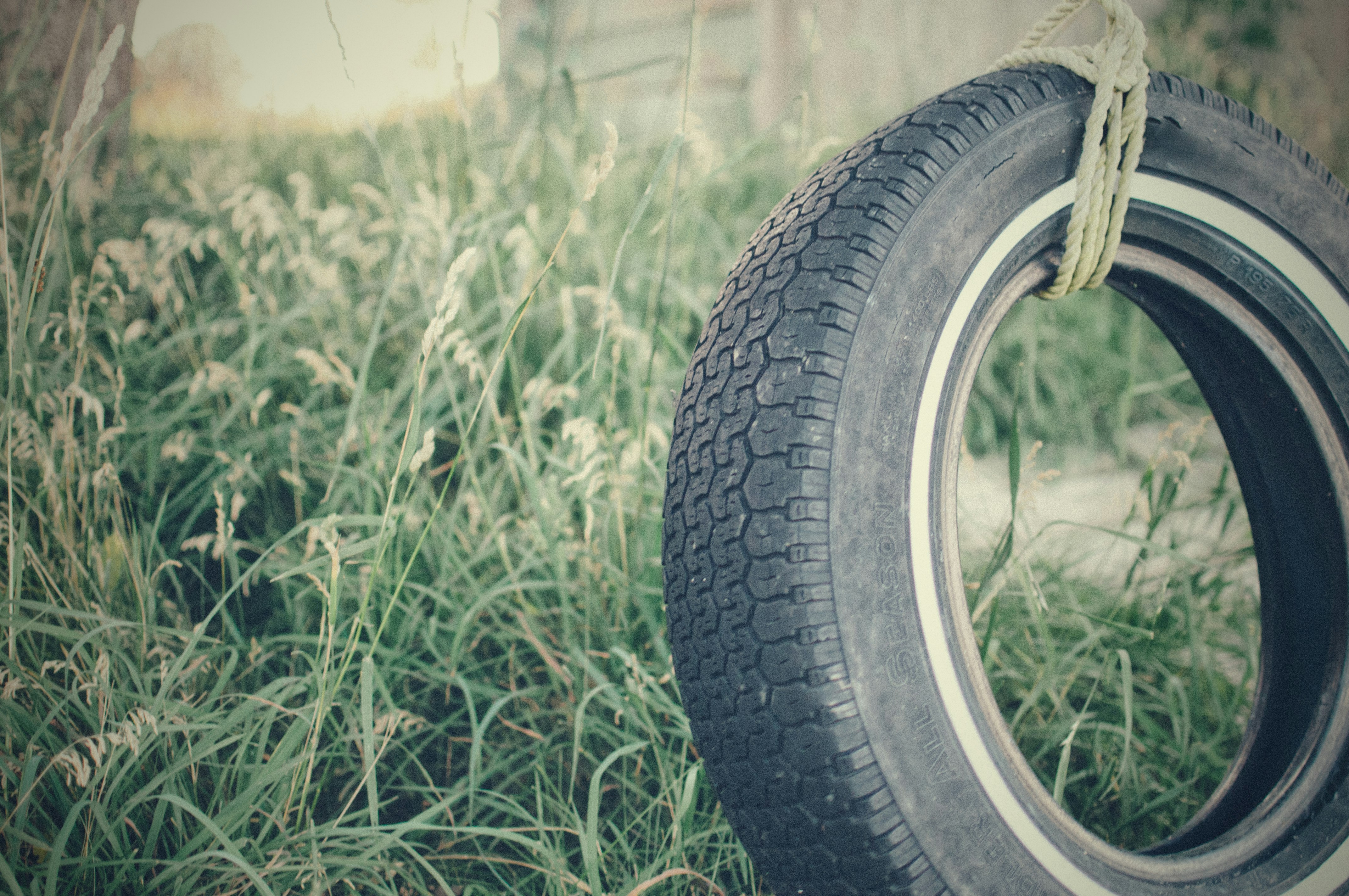 vehicle tire swing